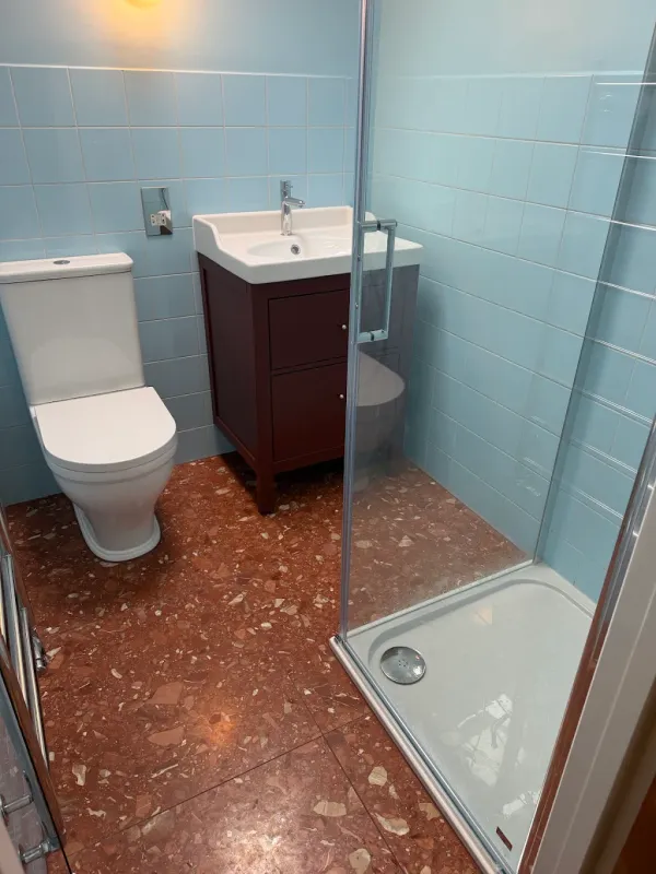 Pale blue shower room with glass enclosure, timber vanity and warm flecked floor